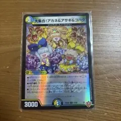 大集合！アカネ&アサギ&コハク 二枚セット - メルカリ