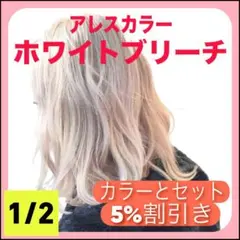 アレスカラー【ホワイトブリーチ&ホワイトオキシ】　1/2セット（ポイント用)④のサムネイル