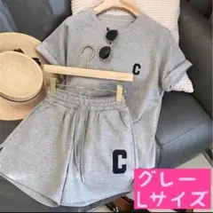 セットアップ Lサイズ ルームウェア アウトドア リラックス