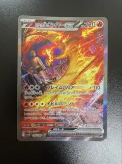 たまみ　次回発送23日様 リクエスト 2点 まとめ商品