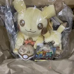 ポケモン 30周年 ピカピカ！ピカチュウ ぬいぐるみ マスコット アクキー 3点