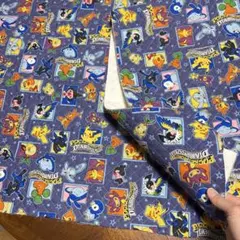 生地　ポケモン　当時物　ダイヤモンド&パール　布　キルティング　ピカチュウ　大判