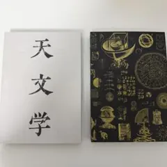 小松美羽 Transparent Chaos 霊性とマンダラ 画集 作品集 - メルカリ