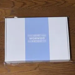 SEVENTEEN バパケ　ウォヌ　2022 2023