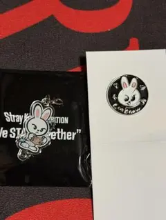 straykids スキズ EXHIBITION 展示会 ピンバッジ リービット
