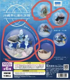 2026年最新】沖縄美ら海水族館カプリウムコレクションの人気アイテム