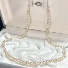 照り◎ あこや アコヤ 本真珠 パール ネックレス 3.4-7.3mm