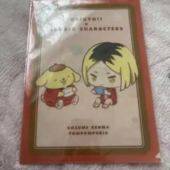 ハイキューのファイル