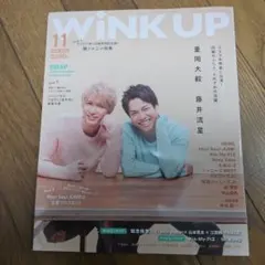 WINK UP 2016年11月号