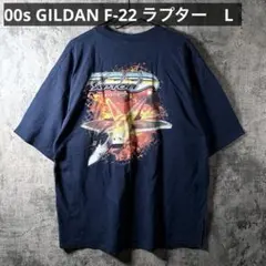 00s GILDAN F-22 BLACK BIRD 3D グラフィックＴ L