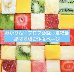 みかりん♡プロフ必読♡夏物最終です様ご注文ページ