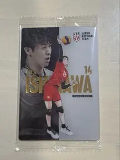 石川祐希 バレーボール男子日本代表 ツインウエハース ハイキュー