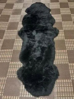 しょうちゃんさま専用　黒　２匹サイズ