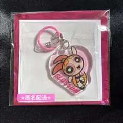 パワーパフガールズ シークレットめじるしチャーム