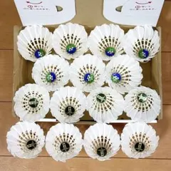 バドミントンシャトルのサムネイル