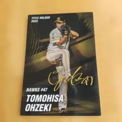 サイン入り‼️福岡ソフトバンクホークス #47大関友久 プロ野球カード