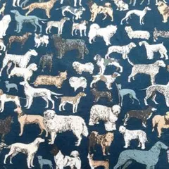 Item thumbnail for item 86aad50e-5c24-4434-9748-feb4c368aace