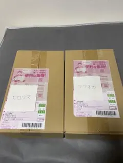 スペシャルBOX ポケモンセンター フクオカ ヒロシマ トウホク×2 計4BOX