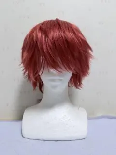 多聞くん今どっち！？ 福原多聞 風 コスプレ ウィッグ - メルカリ