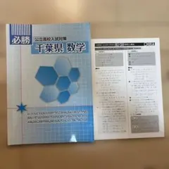 Item thumbnail for item c9f2495a-8b31-44a9-9cca-4cee872680b9