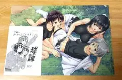 球詠 20　メロンブックス 特典　描き下ろしクリアファイル　特典ペーパー　セット
