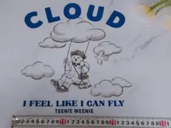 Item thumbnail for item 17d9fed4-9bc2-4d3c-9df5-31c322fa0966