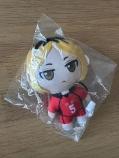 ハイキュー　孤爪研磨ぬいぐるみ