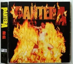 国内帯付 PANTERA / Reinventing The Steel 激鉄