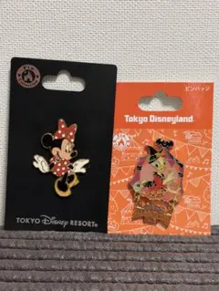 東京ディズニー ディズニー リゾート ミニーマウス ピンバッジ