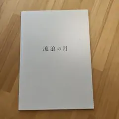 映画 流浪の月 パンフレット