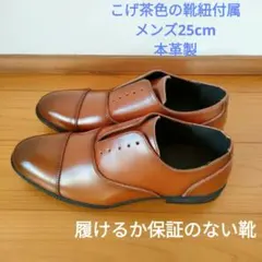 メンズ牛革　茶色　25cm　スタンドワークス　試し履きのみ　履けるか保証のない靴
