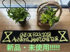 ★★ONE OK ROCK 2018Japan Domeタオル★★