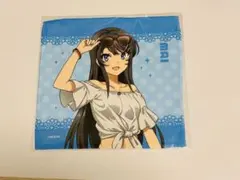 桜島麻衣　マイクロファイバー