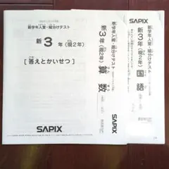 2026年最新】sapix 入室テスト 新2年の人気アイテム - メルカリ