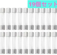 Item thumbnail for item 77cd02ff-7019-429d-8a1a-04baae9e9a08