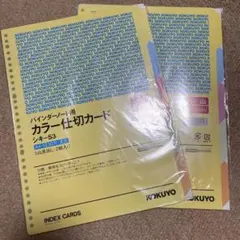 KOKUYO バインダーノート用 カラー仕切カード A4-S 2組　2セット