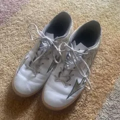 ミズノアルファ