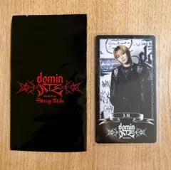 Stray Kids dominATE スペシャルトレーディングカード アイエン