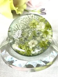 『0262』和み♡グリーン系♡1000円→700円