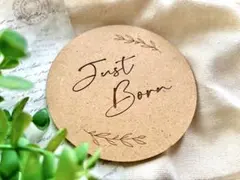 新作 Just Born レターバナー ニューボーンフォト 赤ちゃん　送料込み