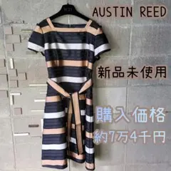 AUSTIN REED ボーダー柄 半袖ワンピース 40サイズのサムネイル