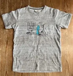 Item thumbnail for item 75d1519f-8747-4430-84a7-e47401e17636