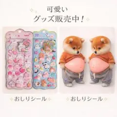 在庫限り4点セット 柴犬 おなかぷにぷにシール おしりシール 3d スクイーズ