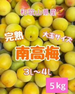 梅干し用木熟‼️木熟南高梅 写真現物3Lサイズ5kg みかんキング - メルカリ