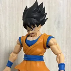 13.【ジャンク品】S.H.フィギュアーツ 孫悟空 DAIMA