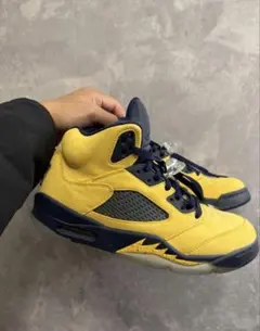 27cm Nike Air Jordan 5 Retro 