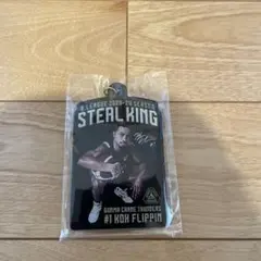 コー・フリッピン　キーホルダー