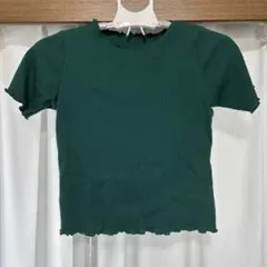 WEGO リブメロウ半袖Tシャツ グリーン Fサイズ