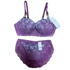 【E80＋L】レッドレーベル バイ トリンプ0109 ブラジャー ＆ ショーツ