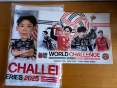 【非売品 新品未開封】ワールドチャレンジシリーズ2025 タオル&クリアファイル